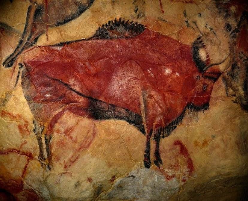 bison-1171794_640