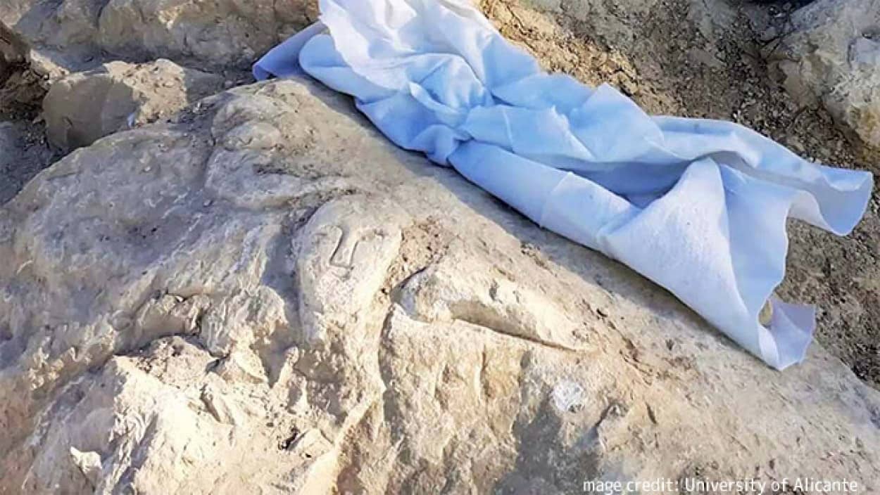 2000年前の古代ローマ時代の岩に掘られた彫刻を発見