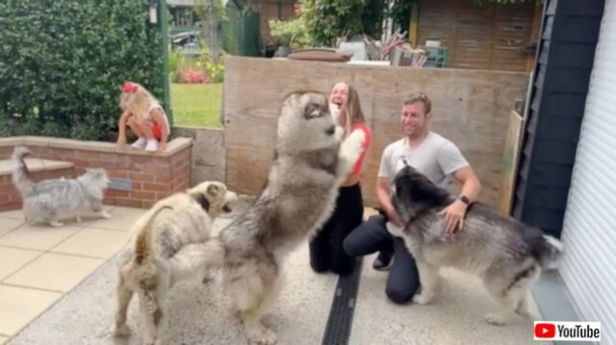 20230706_194903 (3)_batch