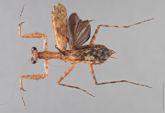 2_e5