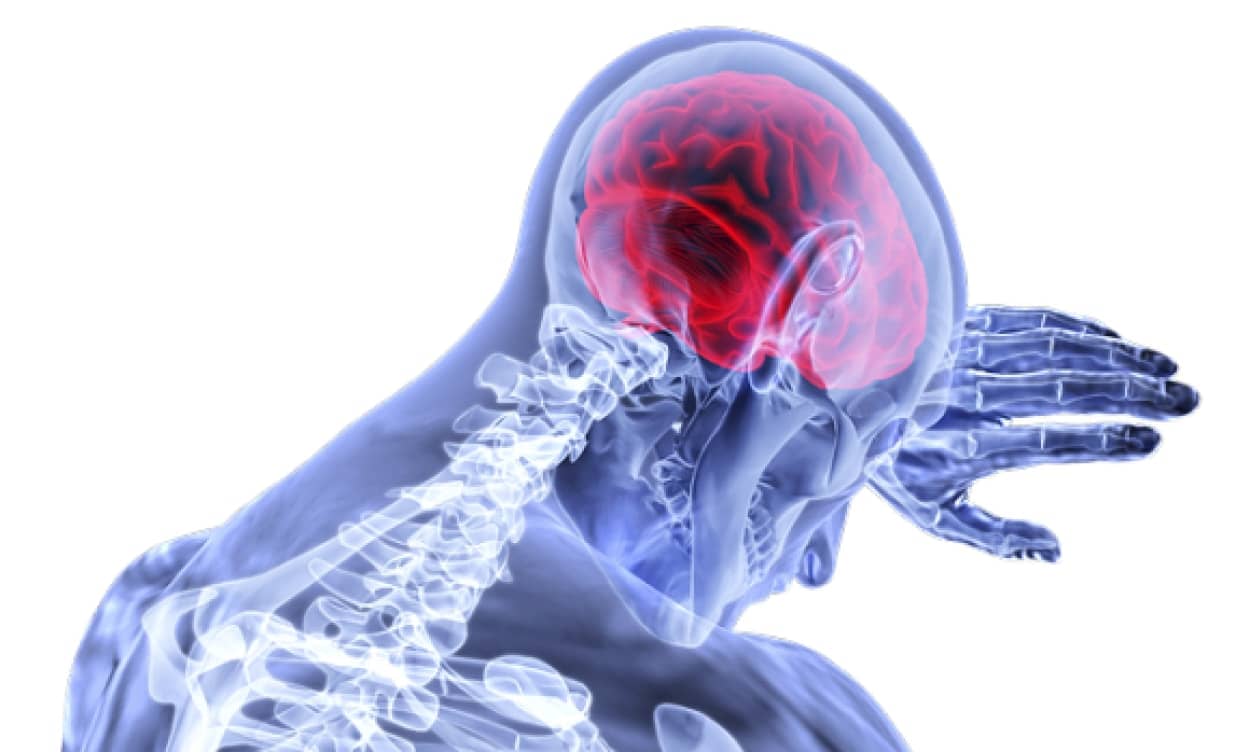 brain-3168269_640_e
