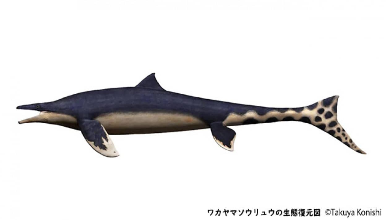モササウルス類の新種の化石が和歌山県で発見no title