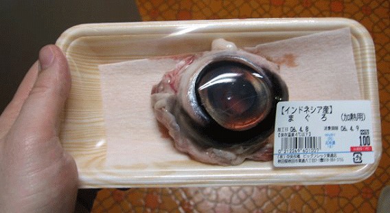 世界面白食文化 現地ではご馳走 他の国ではあらやだ仰天な25の食べ物 カラパイア