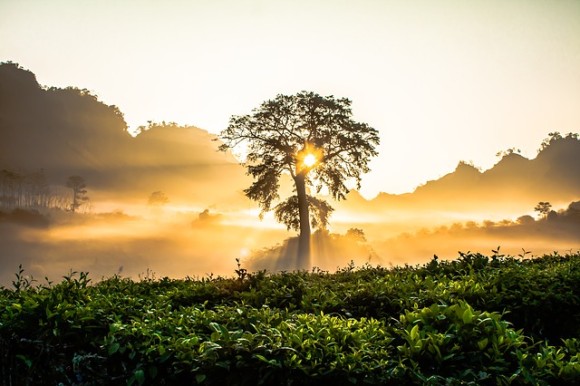 dawn-2264494_640_e