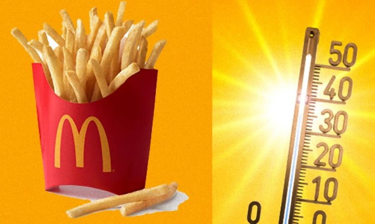 マクドナルドのフライドポテトは購入してからどれくらいの時間までおいしく食べられるのか 実験結果報告 アメリカ カラパイア