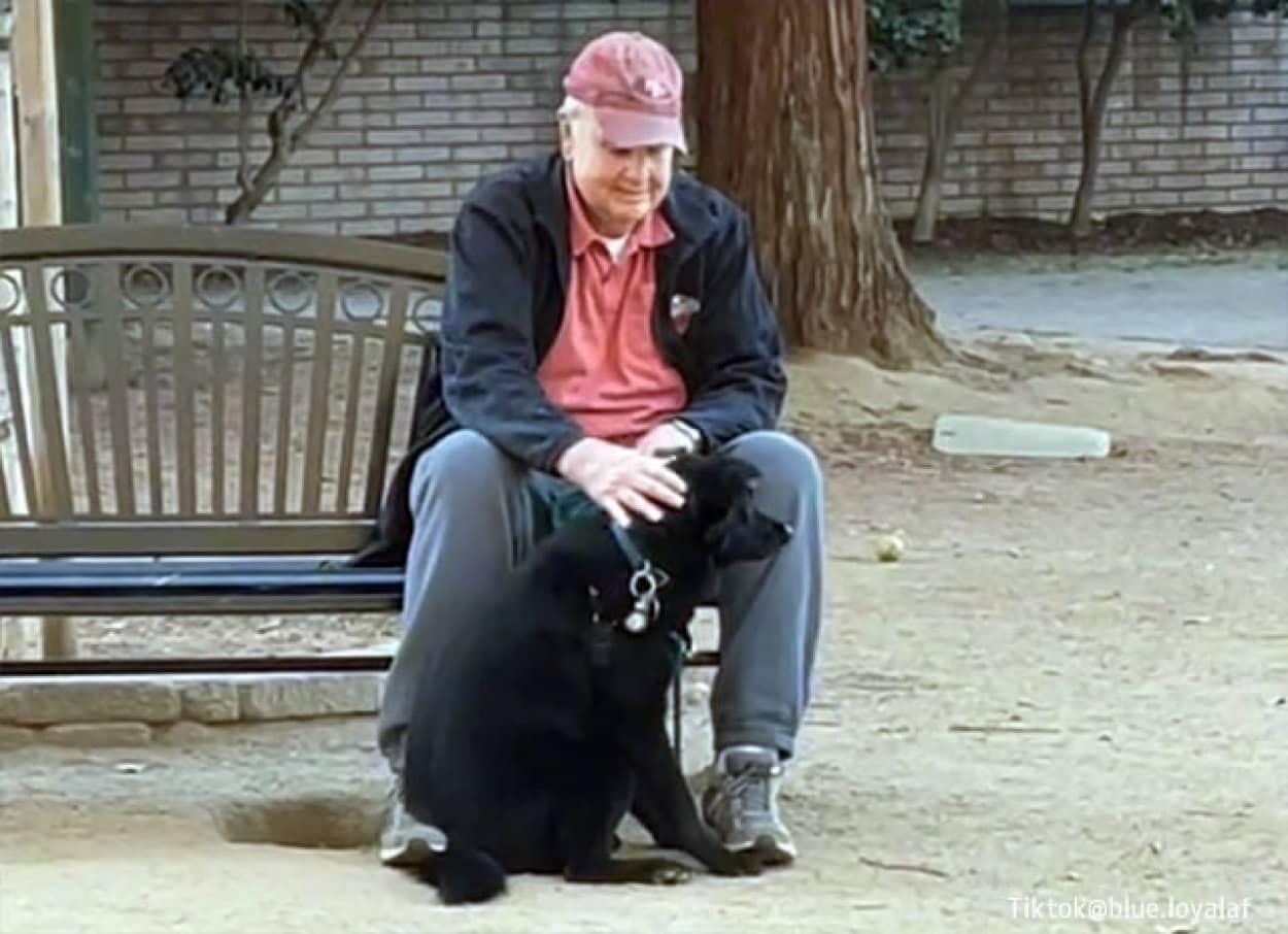 愛情を必要としている人がわかる犬。ドッグパークを抜け出し向かった先は？