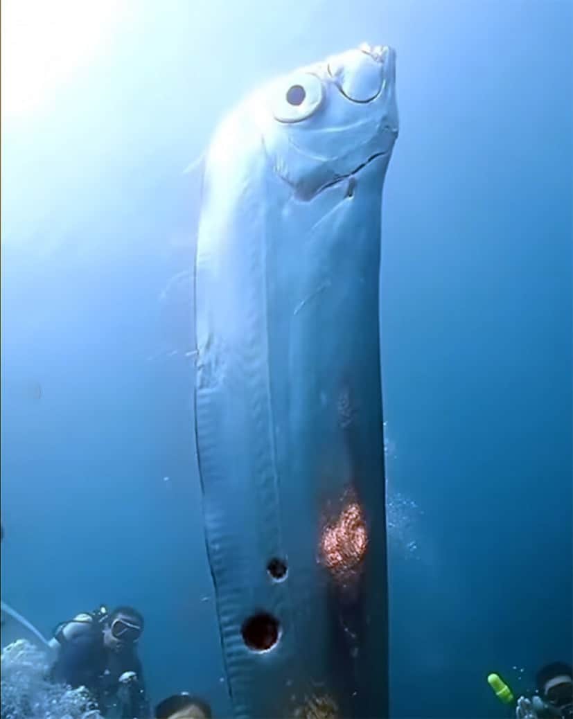 0000