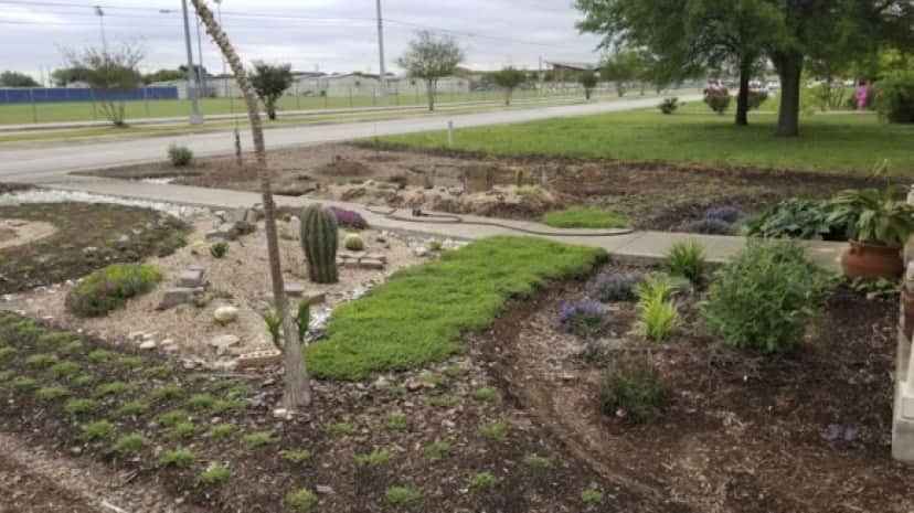 garden9_e