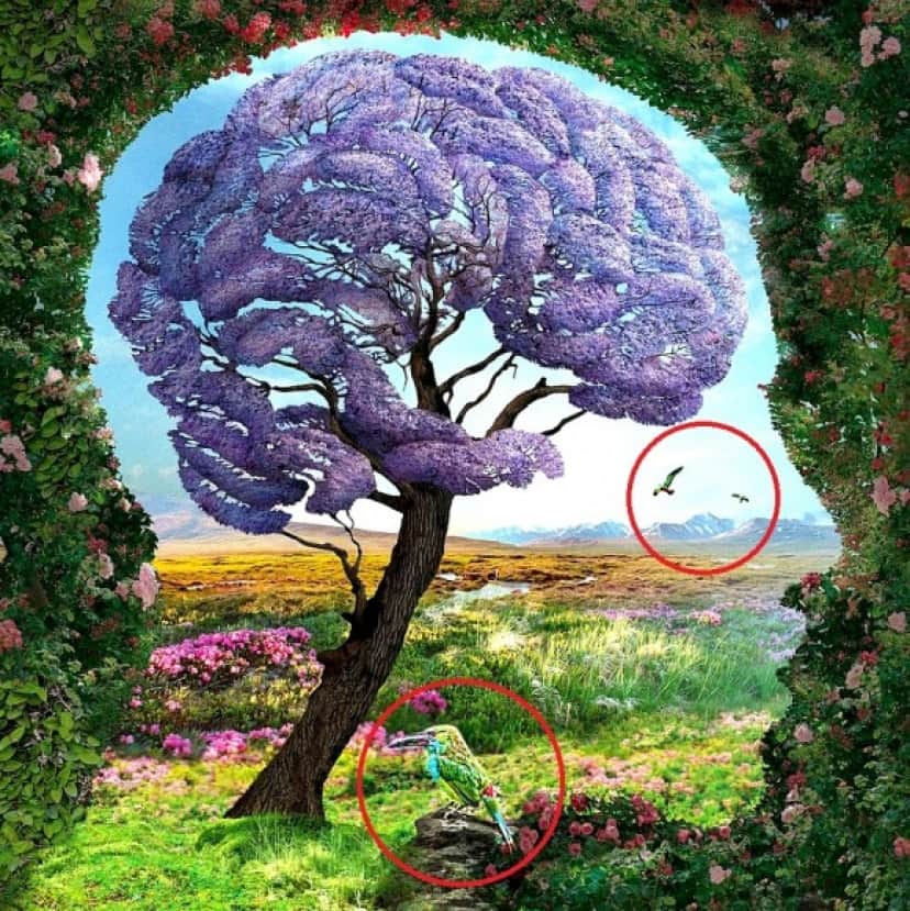 4_e2