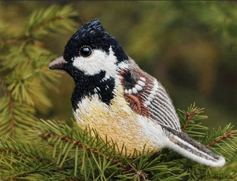 bird-7_e