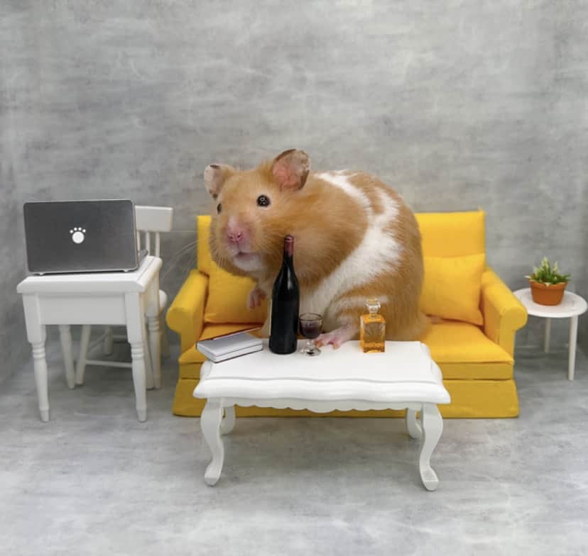 iStock-1350745446