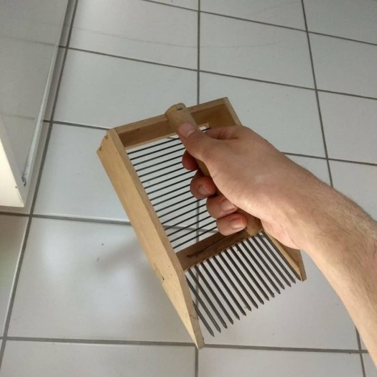 謎の物体を発見