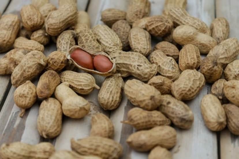 peanuts-1850809_640_e0