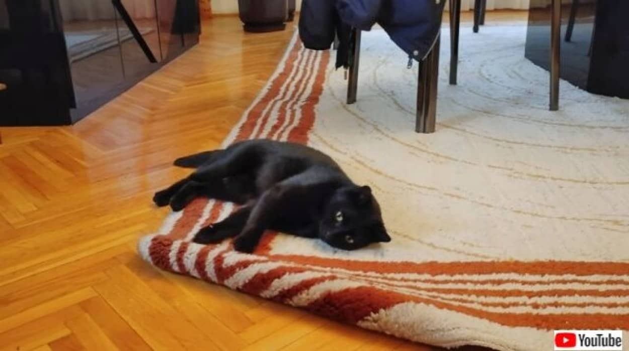 20220905_195224 (2)_batch