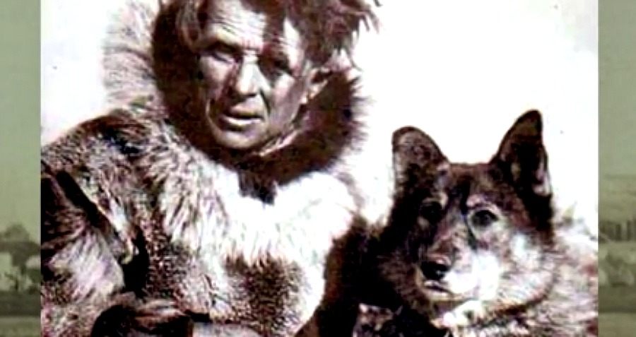血清を届けるために吹雪の中を走る 走る アラスカの町を感染症から救った英雄犬 バルトの物語 カラパイア
