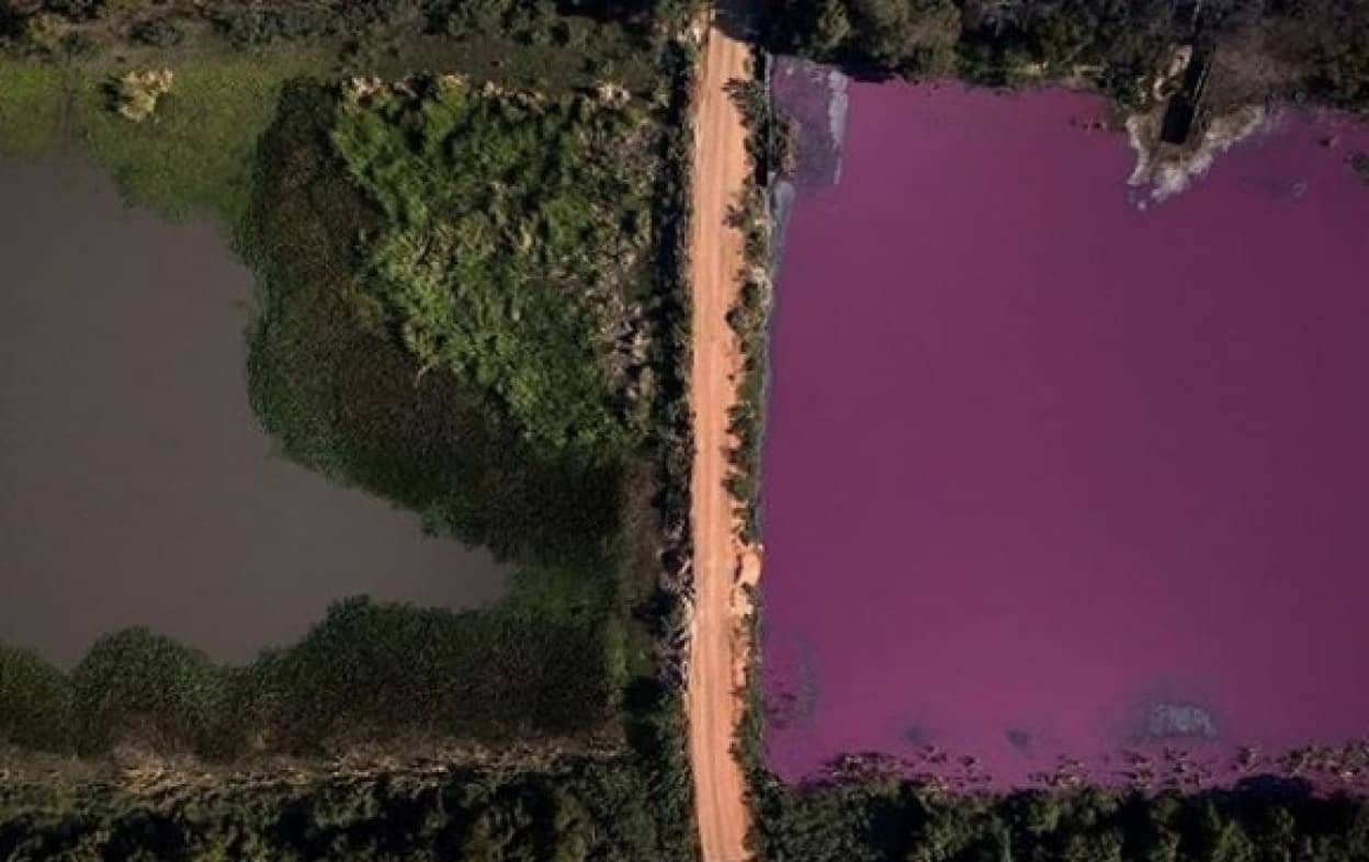 湖の水半分が紫色に染まる異変