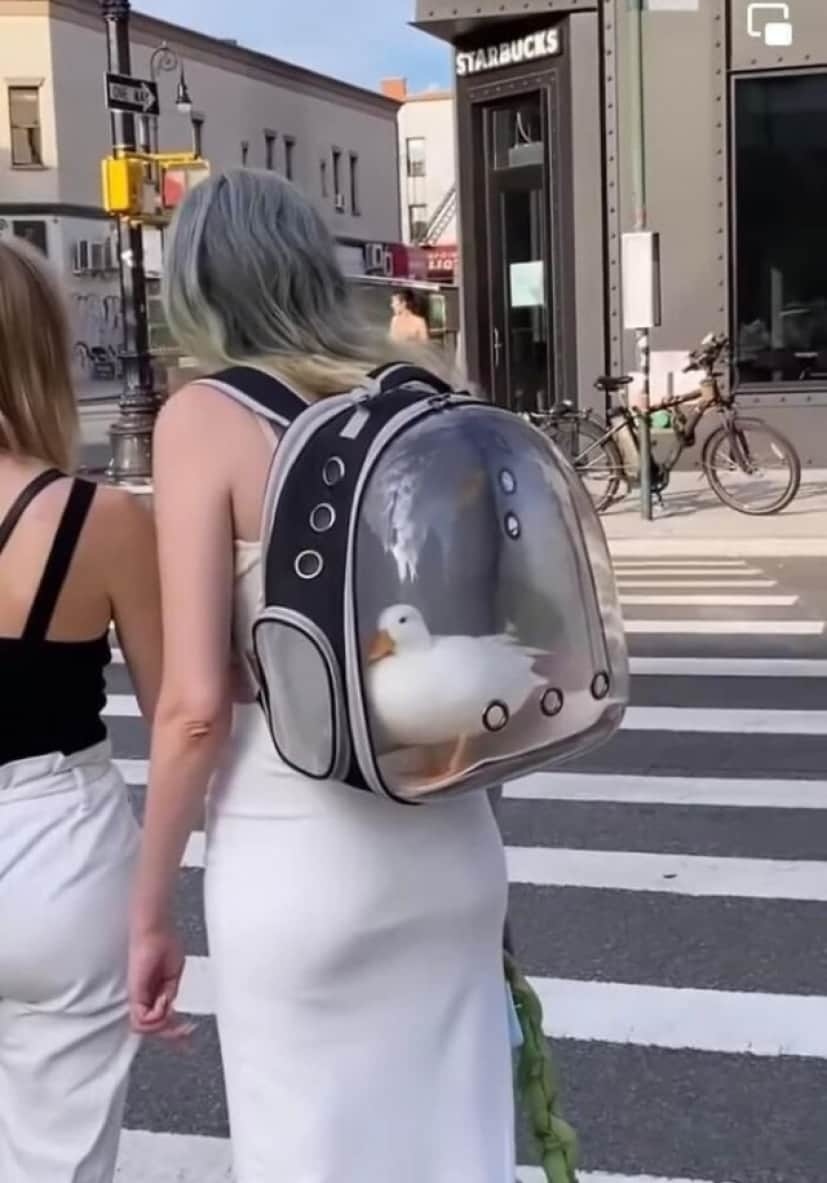 1_e