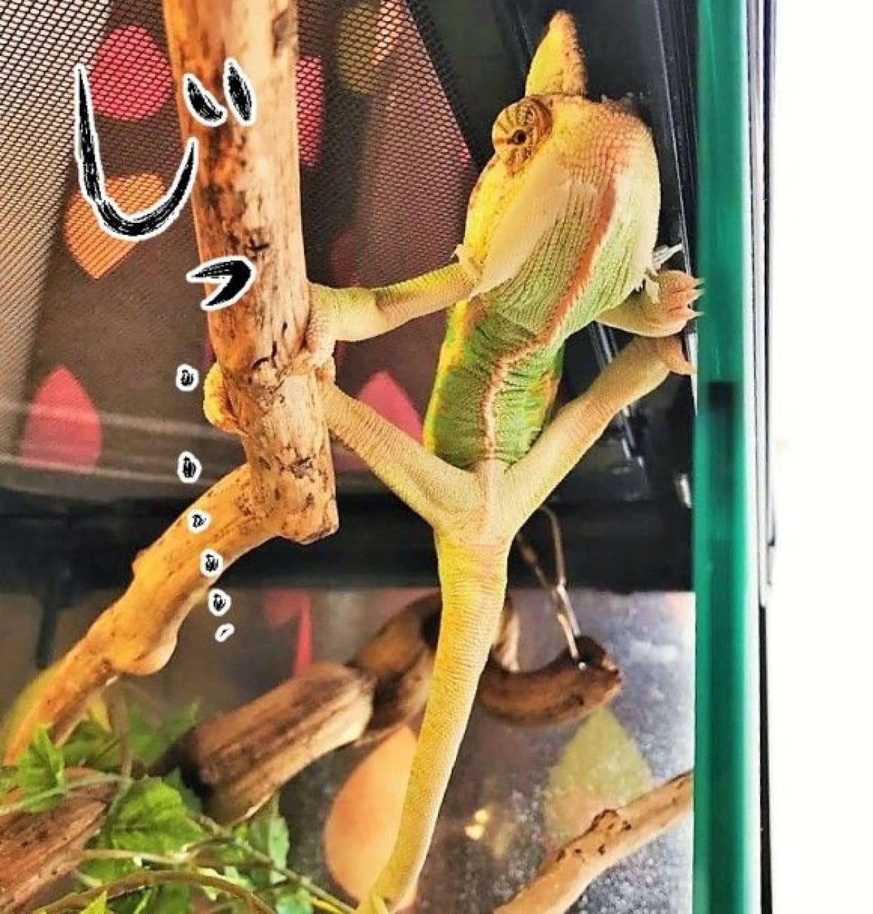 2サムネ_e