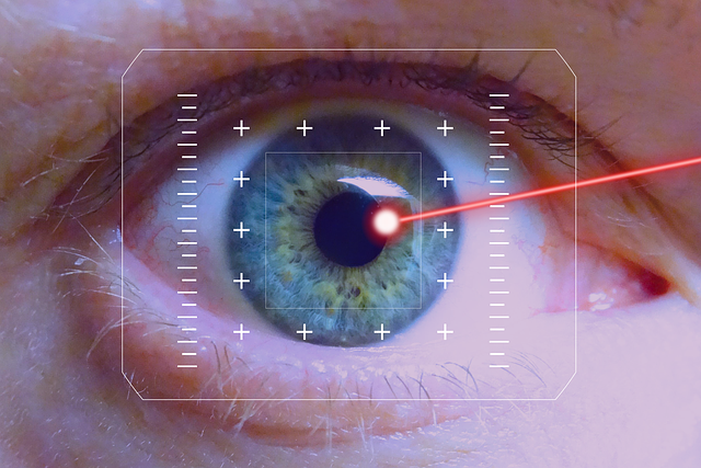 目の瞳孔の大きさは明るさだけでなく、見ている物体の数によっても変化する