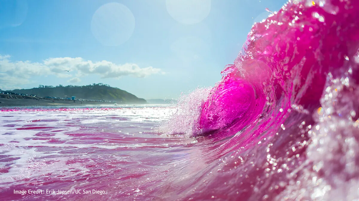 カリフォルニアの海をピンク色に染める