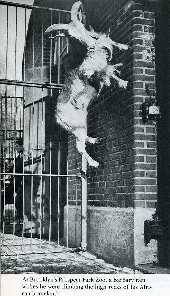 classic_life_magazine_photos_46