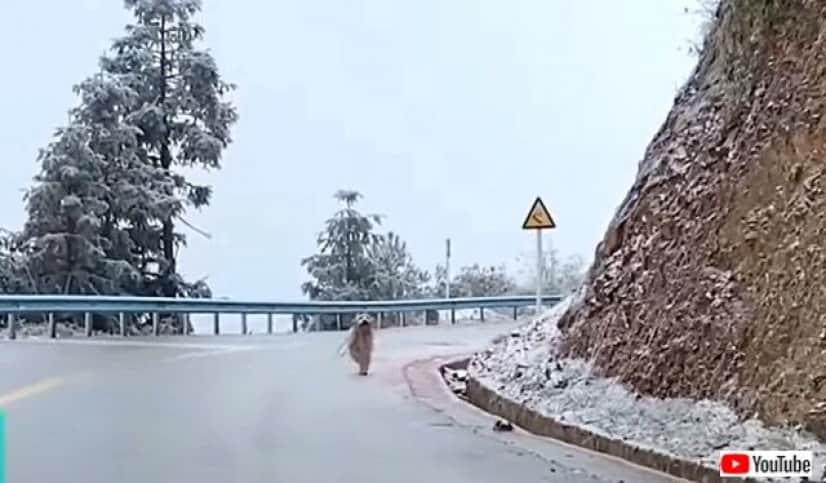 icyroad1_640_640