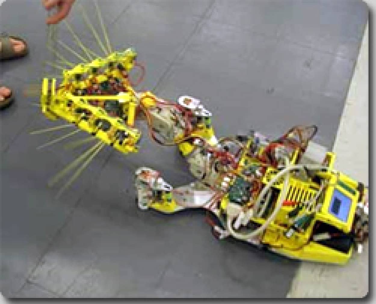 ヒゲで物体や生物を判別 ネズミ型救助ロボット カラパイア