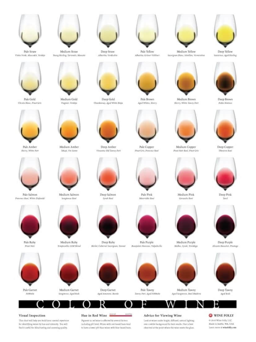 Color-of-Wine-chart-winefolly_full_e