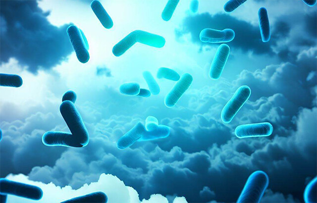 bactérias resistentes a antibióticos em nuvens