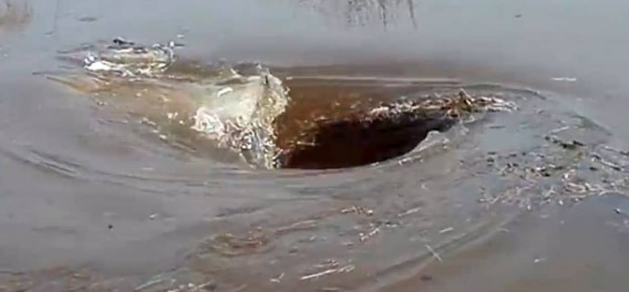 ドクドクと木々や氷を呑みこみながら大きくなっていく 川に開いた穴 ラトビア カラパイア