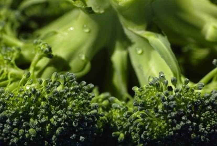 broccoli-1792236_640_e