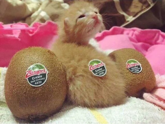 3_e6
