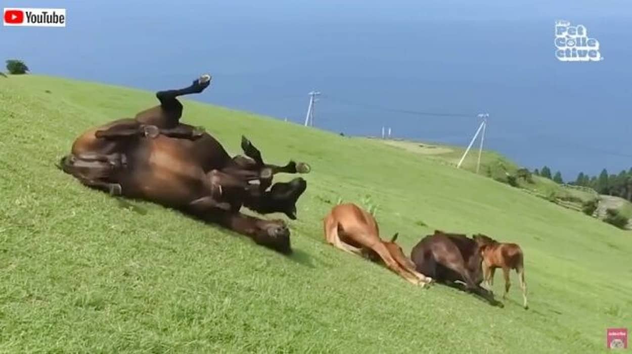 20230407_193427 (2)_batch