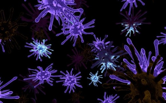 virus-174051_640_e