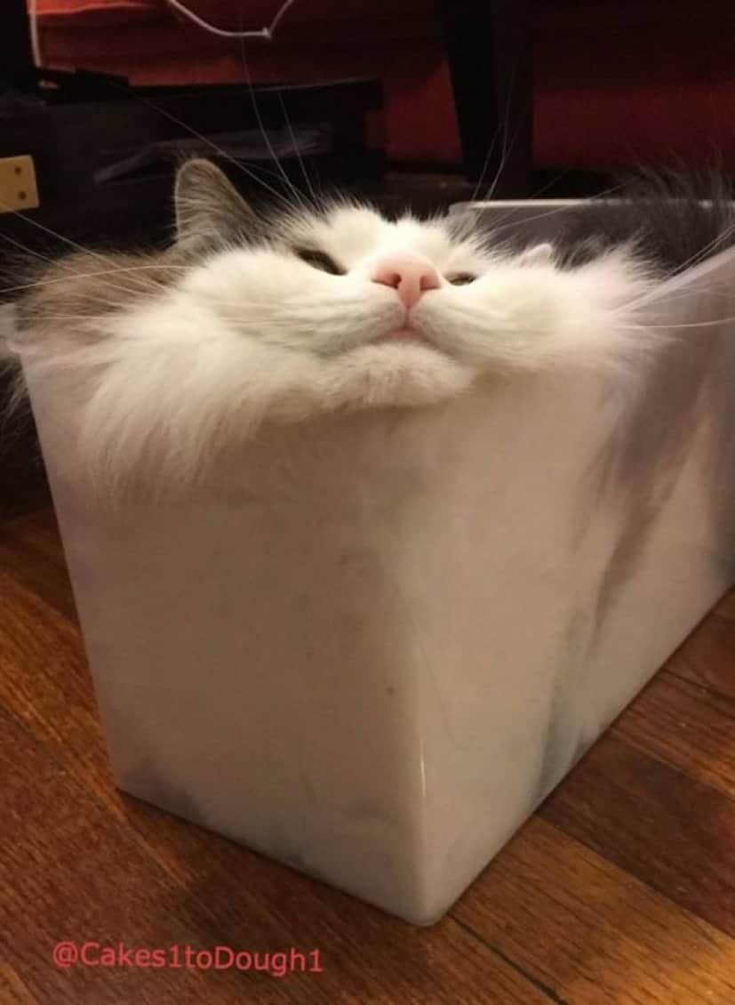 1_e0