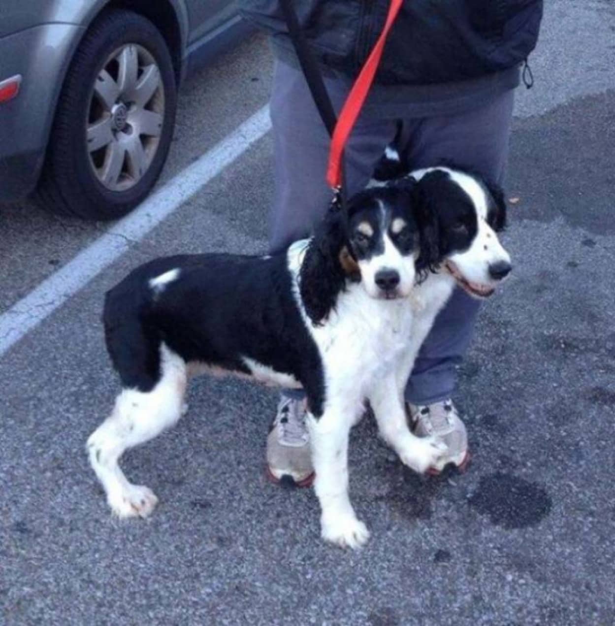 写真が生んだ未知との遭遇 思わず二度見する 錯視じみた驚くべき17枚の写真 カラパイア