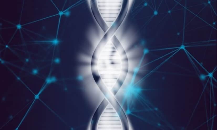 gene3_e