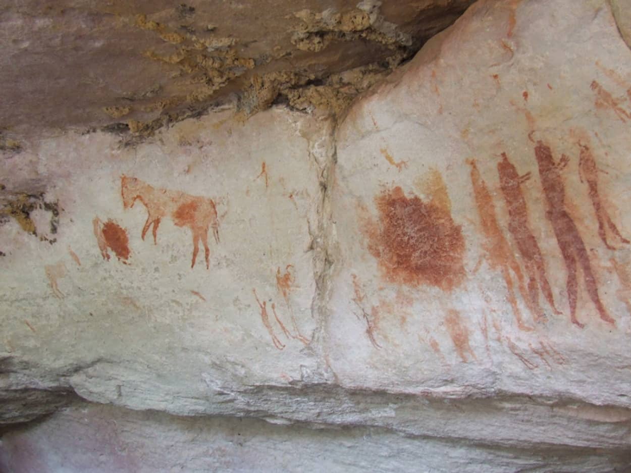 現生人類はアフリカの2つの異なるグループから進化