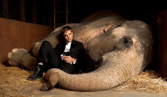 動物虐待疑惑で非難された9つの映画作品 カラパイア 動物虐待疑惑で非難された9つの映画作品 カラパイア