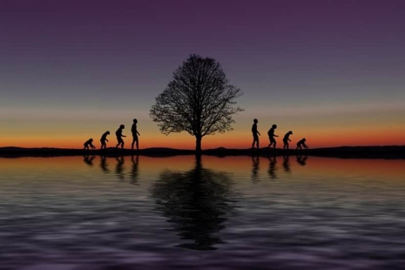evolution-3871223_640_e