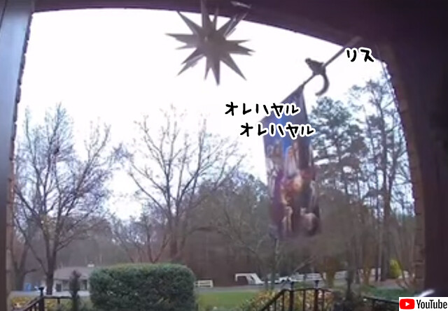 おれはやる、おれはやる。リスは玄関前の飾りを破壊して去っていきました