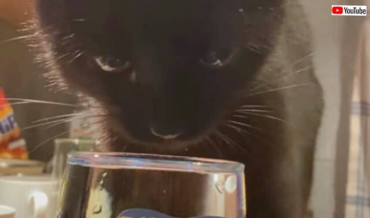 20231221_115857 (3)_batch