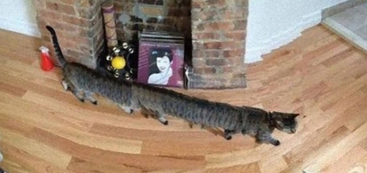 パノラマ写真撮影に失敗するとオカルトの門が開く ホラーと化したパノラマ失敗画像 カラパイア