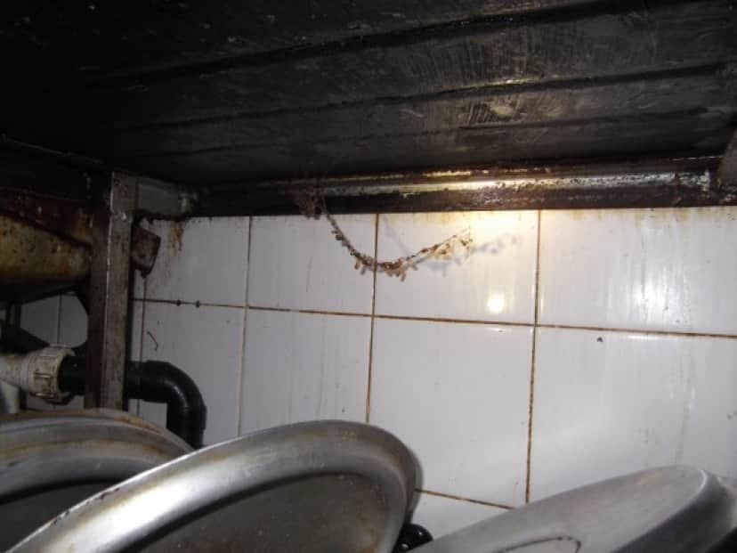 rotten chicken restaurant inside_e