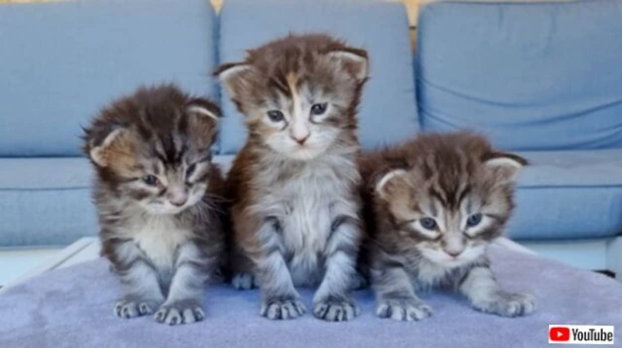 20230511_194441 (2)_batch