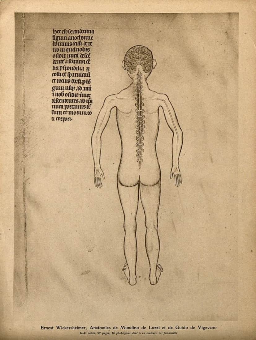 9_e0