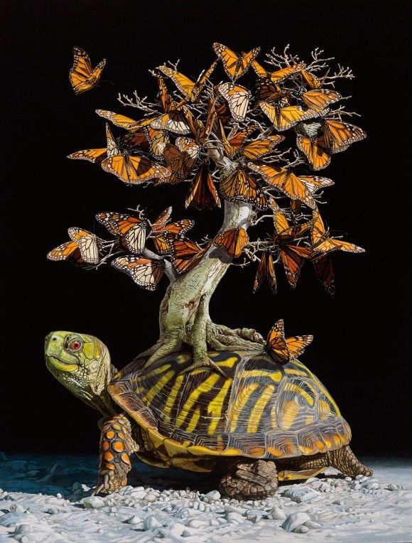 亀の甲羅で新たなる生態系を作り出すファンタジーシュールなアクリル絵画 カラパイア