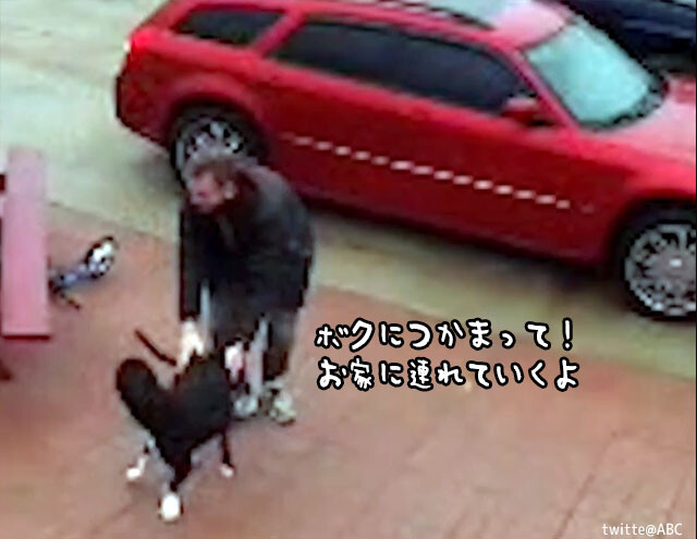 「ボクにつかまって！」凍結した道を歩けない飼い主を助ける犬