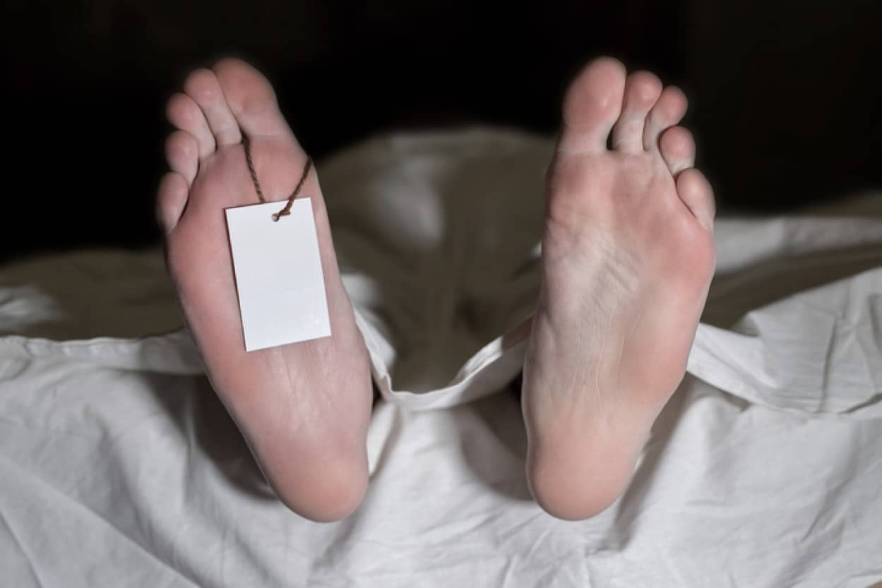 遺体が無許可で解体ショーに使用される