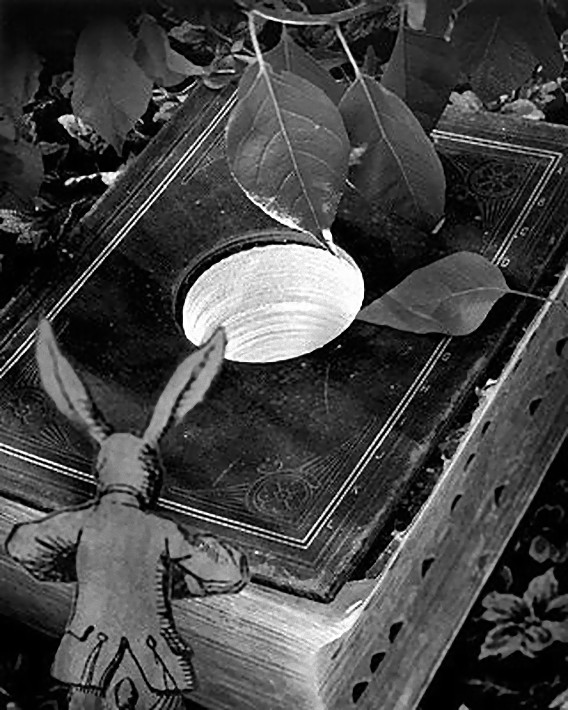 abelardo morell2_e